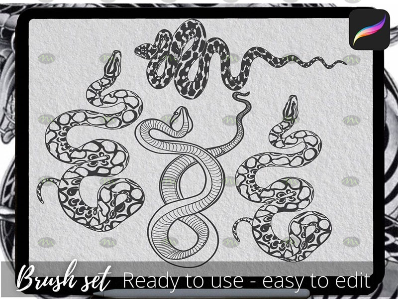rattlesnake strike tattoo - Google Search  Snake drawing, Snake tattoo  design, Snake