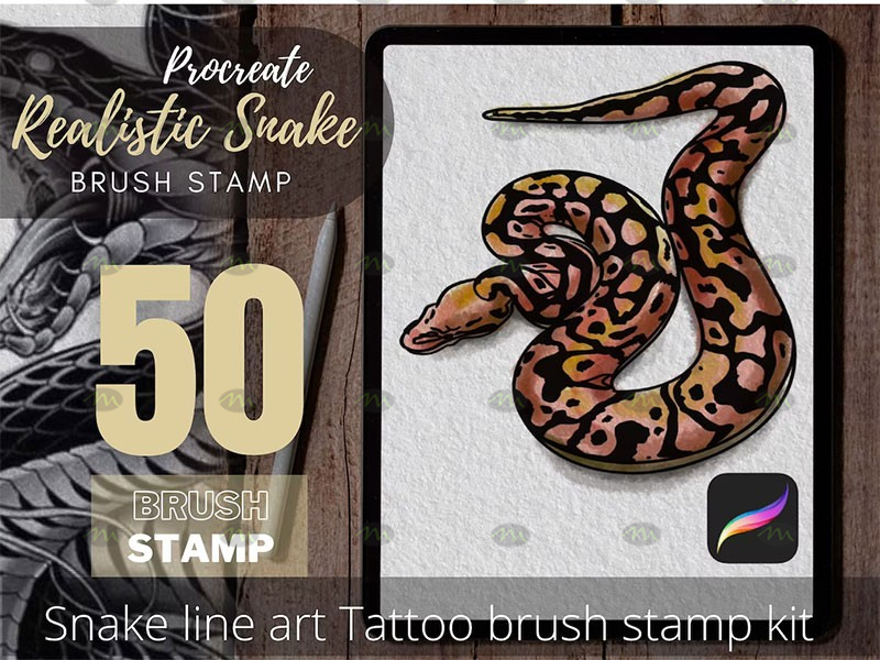 Vine Brush Procreate Stamp Set — Tattoo Space