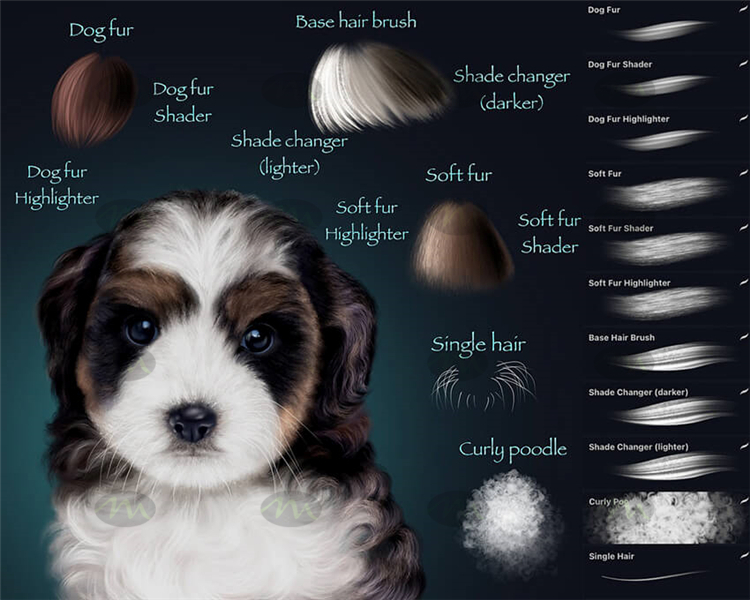 animal hair brush photoshop free download