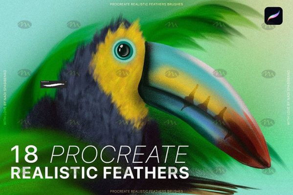 Free download Natural Bird Feather Procreate Brushes - Procreate brushes