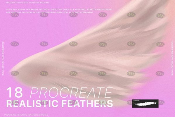 Free download Natural Bird Feather Procreate Brushes - Procreate brushes