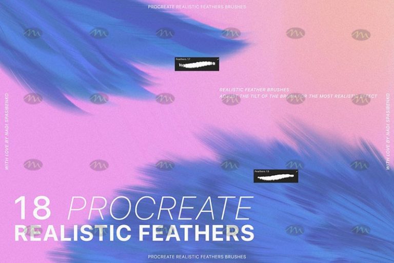 Free download Natural Bird Feather Procreate Brushes - Procreate brushes