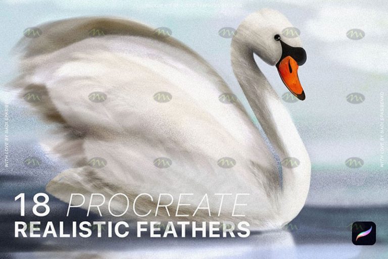 Free download Natural Bird Feather Procreate Brushes - Procreate brushes