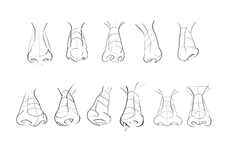 10 Angle Nose Linework Procreate Brushes Free Download Procreate Brushes