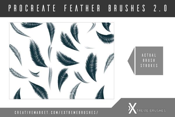 8 Procreate Feather Brushes Free download - Procreate brushes