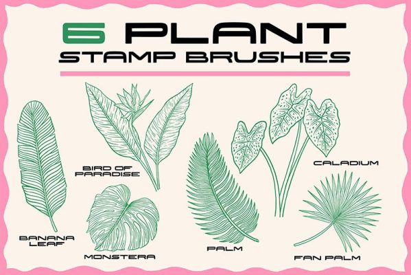 24 Animal Botanical Patterns Procreate Brushes Free download ...