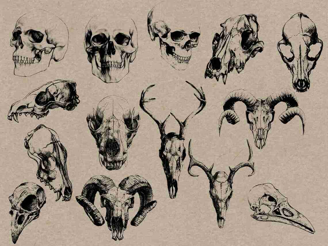 Wild Boar Tattoo - Unique and Intricate Design