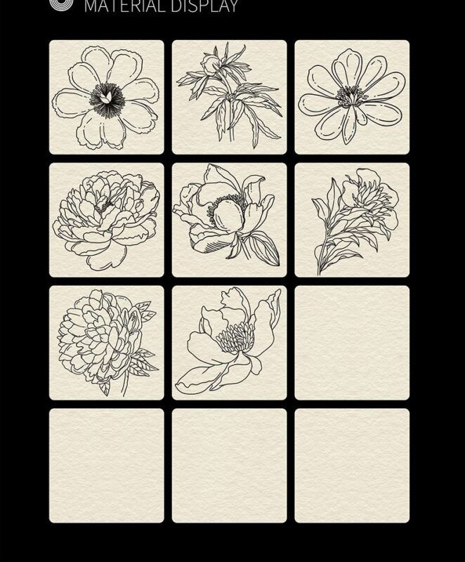Peony line drawing procreate brushes Photoshop brushes flowers flowers ...
