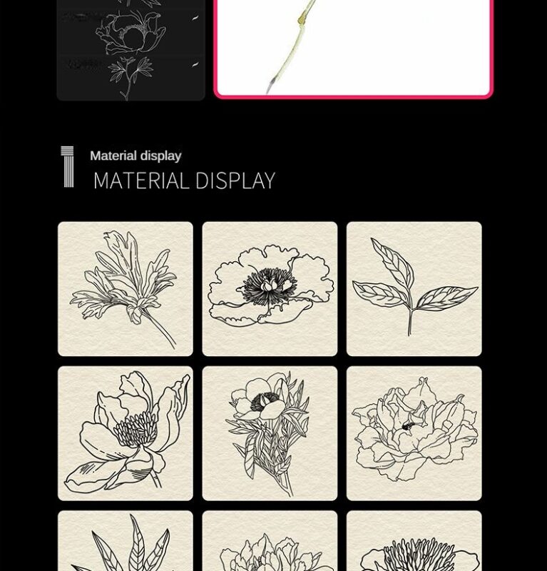 Peony line drawing procreate brushes Photoshop brushes flowers flowers ...