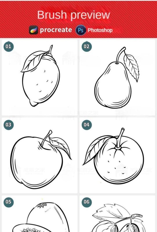 procreate brushes fruit line drawing watercolor Photoshop brushes apple ...