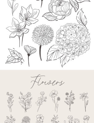 procreate brushes watercolor line art roses flowers petunias photoshop ...