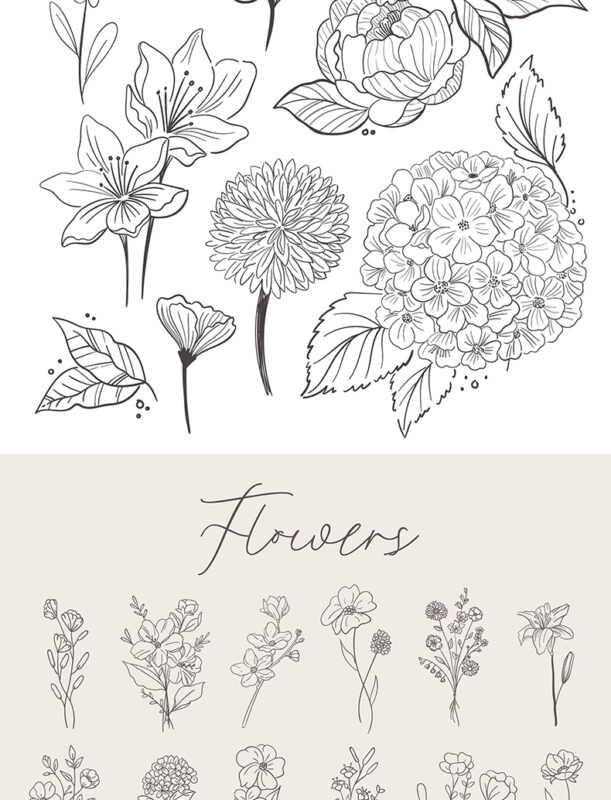 procreate brushes watercolor line art roses flowers petunias photoshop ...