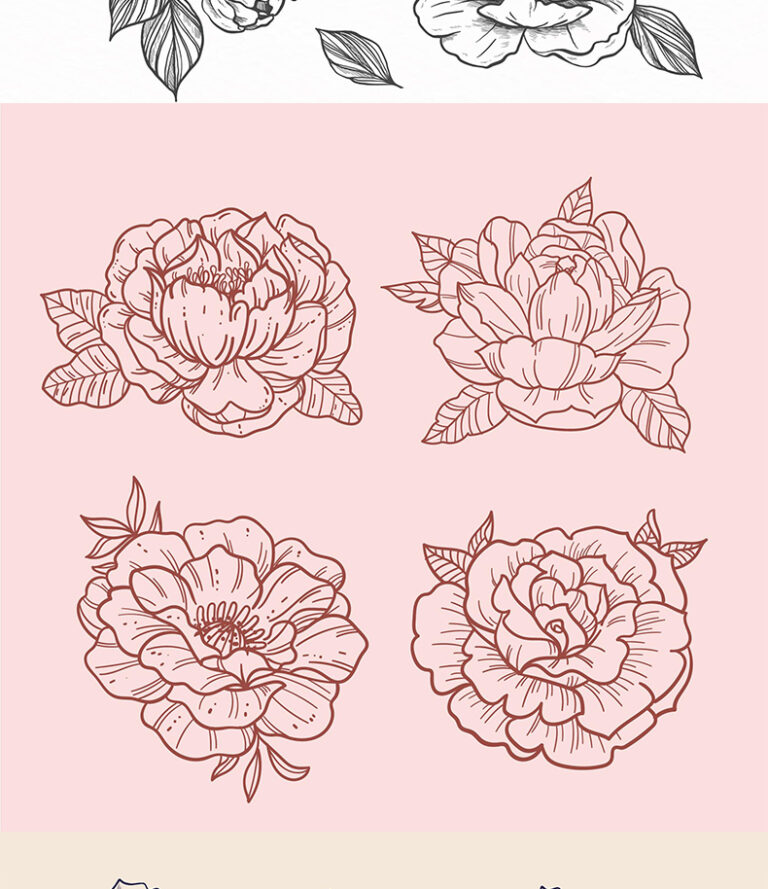 procreate brushes watercolor line art roses flowers petunias photoshop ...