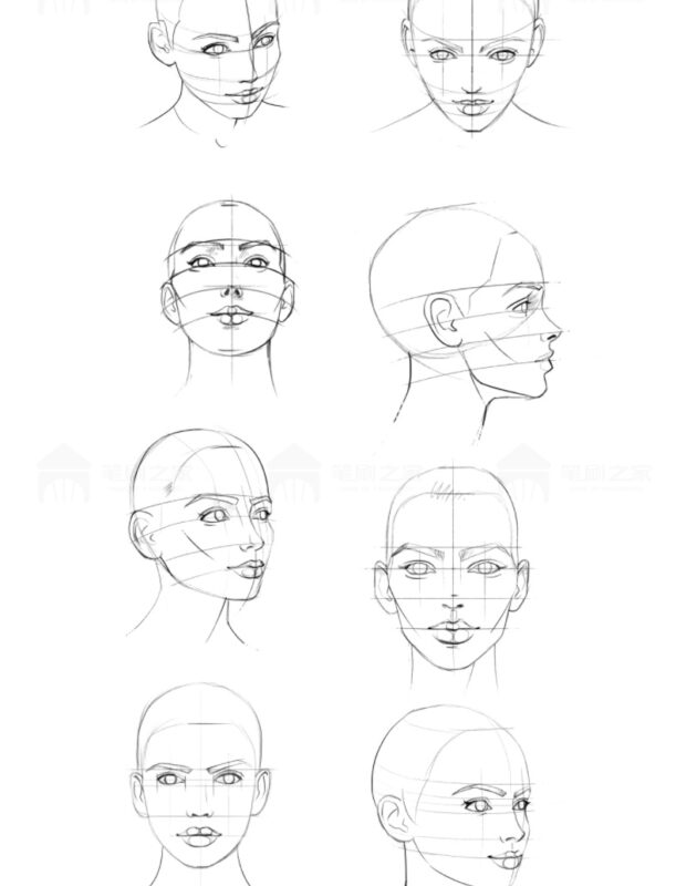 procreate brushes human face portrait auxiliary line sketch ipad ...