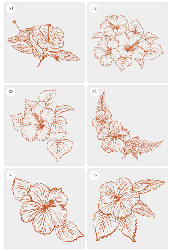 procreate brushes floral flowers hibiscus styling aid line drawing ...